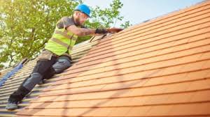 Steel Roofing in Elfers, FL