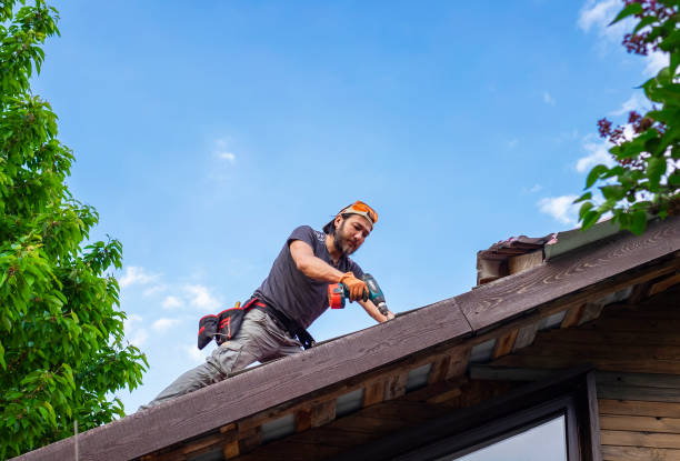 Best Cold Roofs  in Elfers, FL